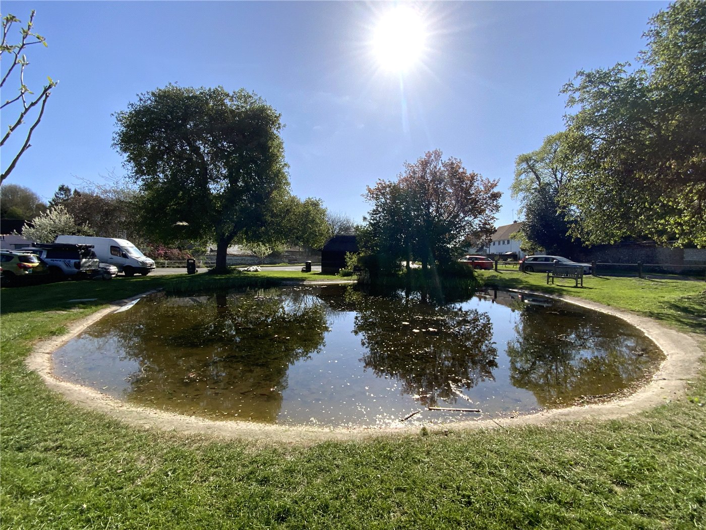 The Pond